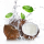 Agua de Coco