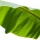 Hoja de Plátano