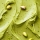 Crema de Pistacho