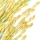 Arroz Basmati