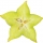 Carambola (Fruta Estrella)