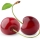 Cereza