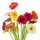Notas Florales