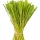 Hierba Limón (Lemongrass)