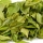 Buchu (Agathosma)