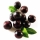 Baya de Açaí