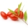 Bayas de Goji