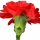 Clavel