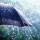 Notas de Lluvia