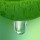 Savia Verde